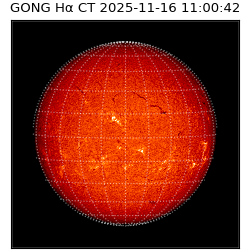 gong - 2025-11-16T11:00:42