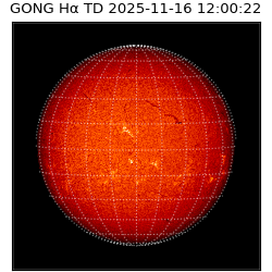 gong - 2025-11-16T12:00:22