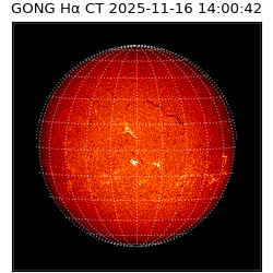 gong - 2025-11-16T14:00:42