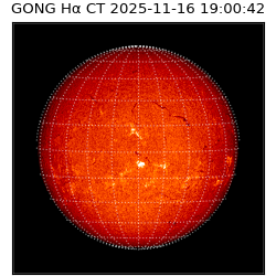gong - 2025-11-16T19:00:42