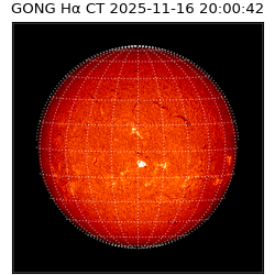 gong - 2025-11-16T20:00:42