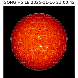 gong - 2025-11-16T23:00:42