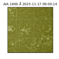 saia - 2025-11-17T09:00:14.126000