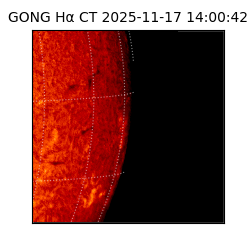 gong - 2025-11-17T14:00:42