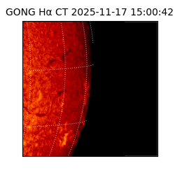 gong - 2025-11-17T15:00:42