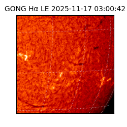 gong - 2025-11-17T03:00:42