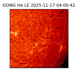 gong - 2025-11-17T04:00:42