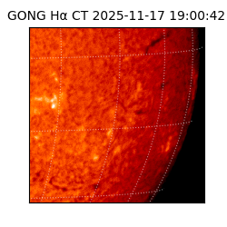 gong - 2025-11-17T19:00:42
