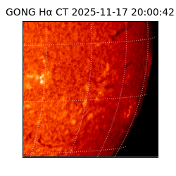 gong - 2025-11-17T20:00:42