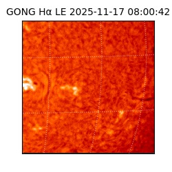 gong - 2025-11-17T08:00:42