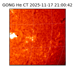 gong - 2025-11-17T21:00:42