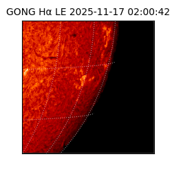 gong - 2025-11-17T02:00:42