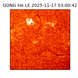 gong - 2025-11-17T03:00:42