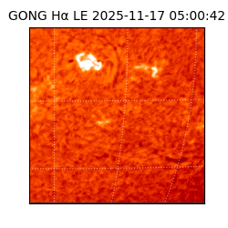 gong - 2025-11-17T05:00:42