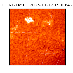 gong - 2025-11-17T19:00:42