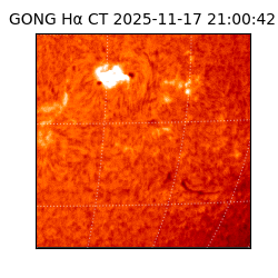 gong - 2025-11-17T21:00:42