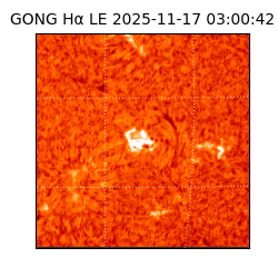gong - 2025-11-17T03:00:42