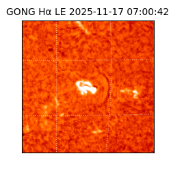 gong - 2025-11-17T07:00:42