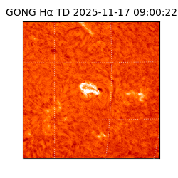 gong - 2025-11-17T09:00:22