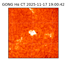 gong - 2025-11-17T19:00:42