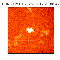 gong - 2025-11-17T21:00:42