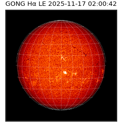 gong - 2025-11-17T02:00:42
