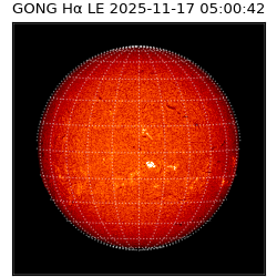 gong - 2025-11-17T05:00:42