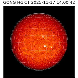 gong - 2025-11-17T14:00:42