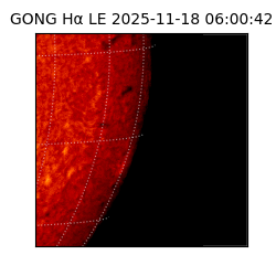 gong - 2025-11-18T06:00:42