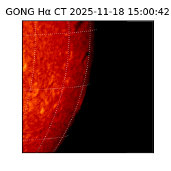 gong - 2025-11-18T15:00:42