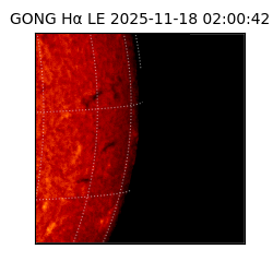 gong - 2025-11-18T02:00:42