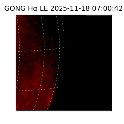 gong - 2025-11-18T07:00:42
