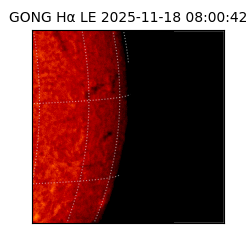 gong - 2025-11-18T08:00:42