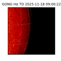 gong - 2025-11-18T09:00:22
