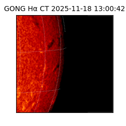 gong - 2025-11-18T13:00:42