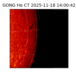 gong - 2025-11-18T14:00:42
