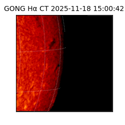 gong - 2025-11-18T15:00:42