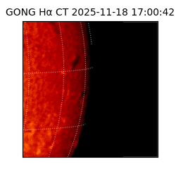 gong - 2025-11-18T17:00:42