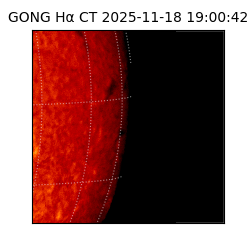 gong - 2025-11-18T19:00:42