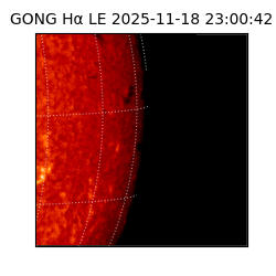 gong - 2025-11-18T23:00:42