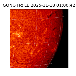 gong - 2025-11-18T01:00:42