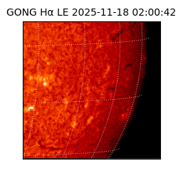 gong - 2025-11-18T02:00:42