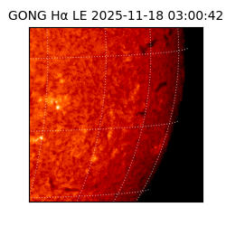 gong - 2025-11-18T03:00:42