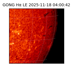 gong - 2025-11-18T04:00:42