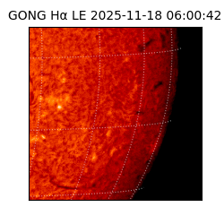 gong - 2025-11-18T06:00:42
