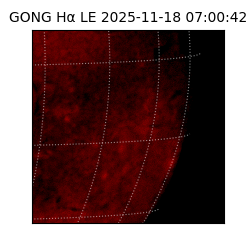 gong - 2025-11-18T07:00:42