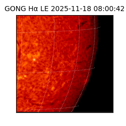 gong - 2025-11-18T08:00:42