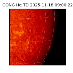 gong - 2025-11-18T09:00:22