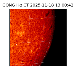 gong - 2025-11-18T13:00:42