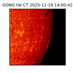 gong - 2025-11-18T14:00:42